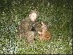 sp�jrzcie na czas w poprzednim zdj�ciu. Podch�d trwa� niespe�na 12 minut