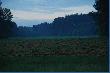 2 dni z maja 2007
Przyjecha�em na 2 dni w �owisko zresetowa� m�zg po maturach i sprawdzi� nowy aparat - Nikon D80 (obiektyw Nikor 18-200). Oto efekty.