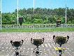 Organizatorzy chcieli wr�czy� puchary,ale nie by�o komu.