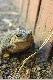 czy�by zaostrzy� wzrok ... ?