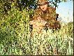 strza� z odleg�o�ci 80 metr�w . Sztucer CZ550 cal. 7*64 amunicja SAKO