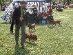 troche ruchu przyda si� obydwum
