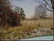 czu�o�� iso800 - noc a jednak dzie�