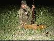 tzw diabe�ek