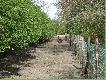 Zagroda dzik�w
Racot, wiosna 2007