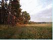 fragment mojego �owiska
