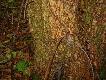 Zapewne d�ugo musia�o sta� to wnyko, aby si� tak wros�o.