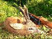 Udany poranek w �owisku...