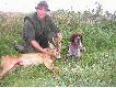 2 rogacz,kt�rego pozyska�em z Mortenem.Rambo musia� u�y� swojej kufy,�eby go poszuka� w zbo�u.Wiek 6lat,waga parostk�w 327g.