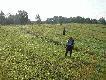 Lufy za�adowane