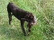 Borys dobrze si� spisywa�