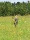 Strza�ka zwarty i gotowy do strza�u! :)