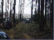 Nowe karmiska w obwodzie �owieckim nr 27
W dniu 10-12-2004 razem z moim te�ciem, �owczym ko�a �owieckiego "OSTOJA" Wroc�aw, i Koleg� Tadeuszem zrobili�my nowe karmiska w obwodzie �owieckim nr 27 - Naroczyce. Do tego celu mieli�my przygotowan� przyczep� pe�n� ziemniak�w (oko�o 4 tony), 2 worki kukurydzy i worek soli. No i oczywi�cie ci�gnik z p�ugiem, �eby zwierzyna mia�a cho� odrobin� trudno�ci w wygrzebaniu po�ywienia z gleby.  Opr�cz wykonywania polowa� jest to druga forma tzw. aktywnego wypoczynku. 